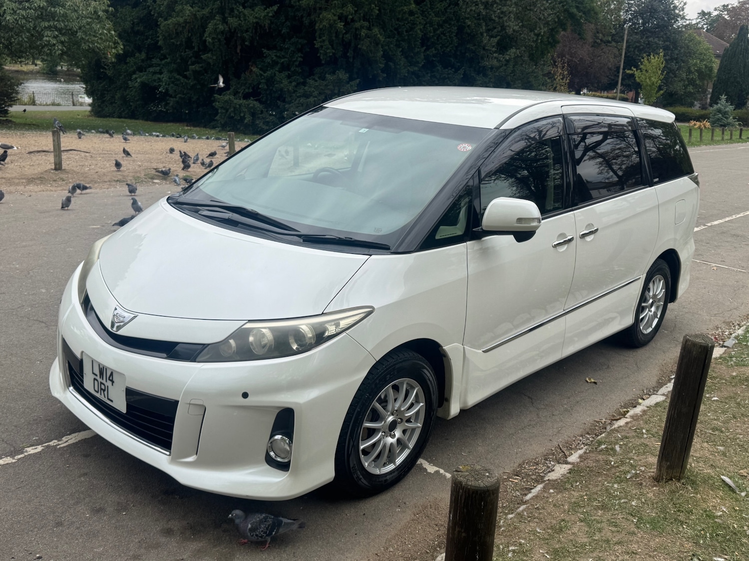 Used Toyota Estima 2025 for sale - 77590386: Photo 2