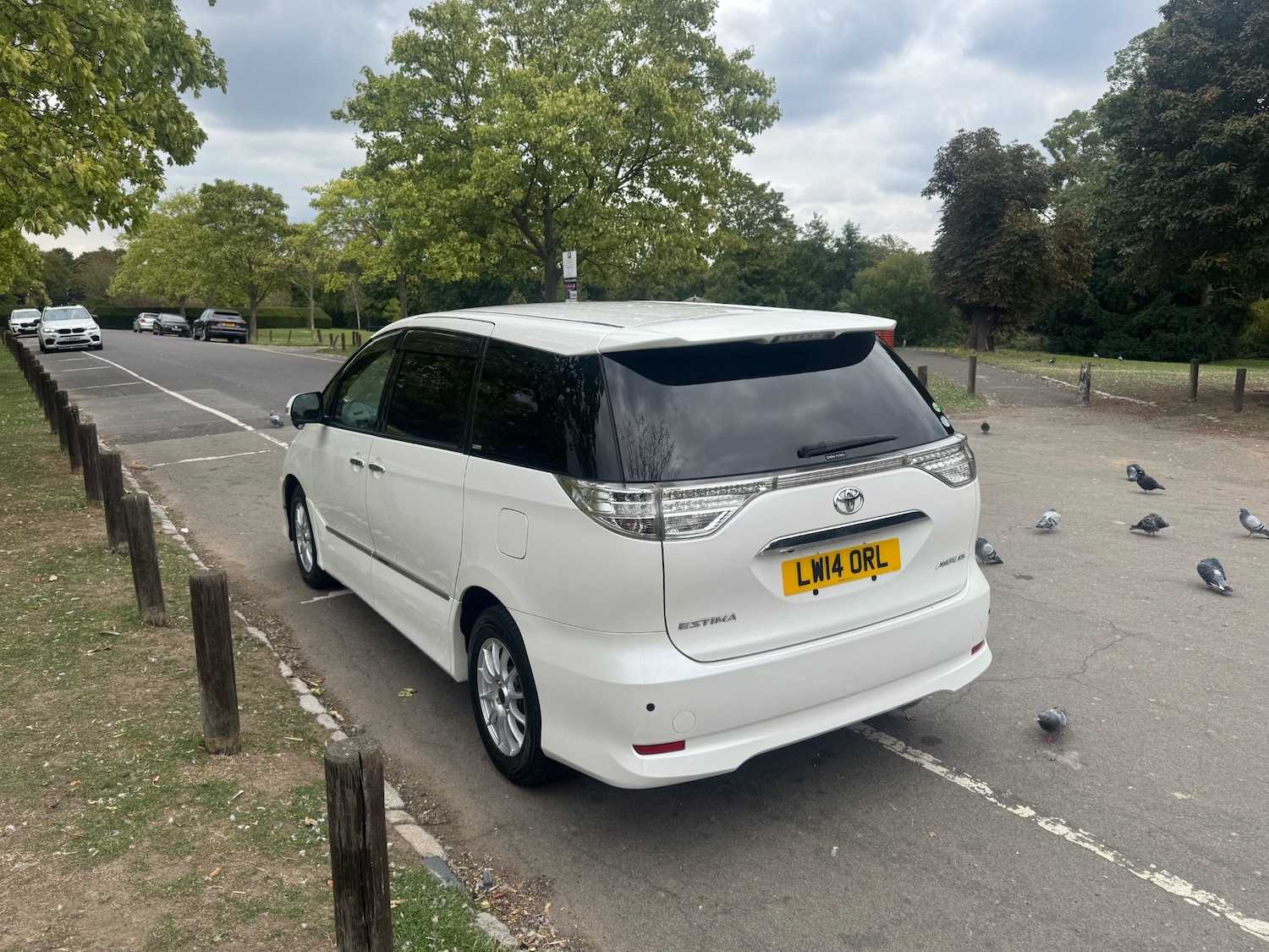 Used Toyota Estima 2025 for sale - 77590386: Photo 5
