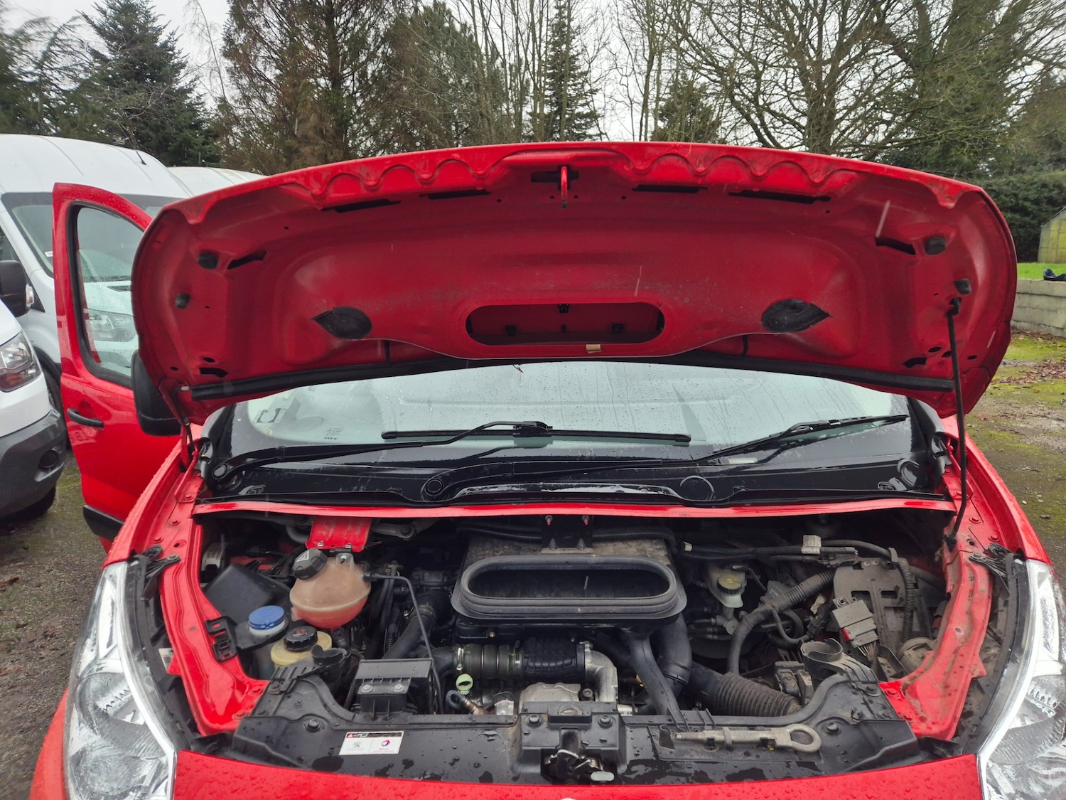 Used Peugeot Expert 2014 for sale - 77568560: Photo 11