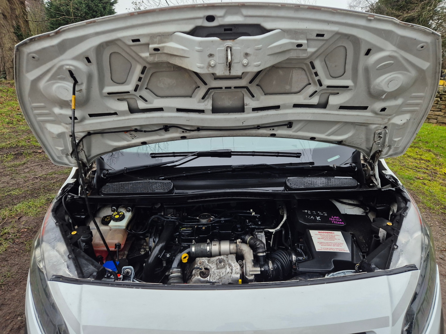 Used Ford Transit Connect 2017 for sale - 77137901: Photo 10