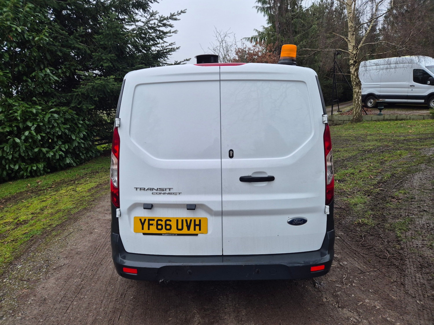 Used Ford Transit Connect 2017 for sale - 77137901: Photo 5