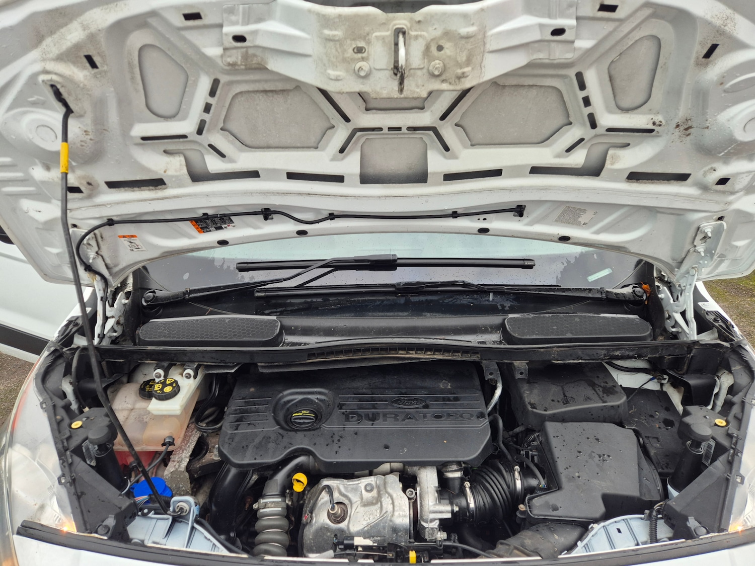 Used Ford Transit Connect 2017 for sale - 77168375: Photo 14