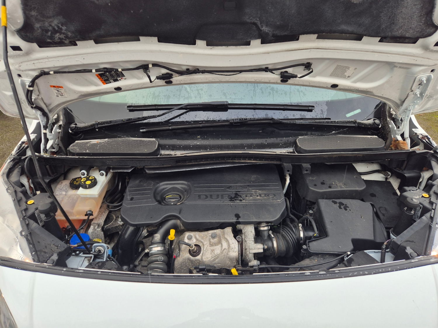 Used Ford Transit Connect 2018 for sale - 77168387: Photo 15