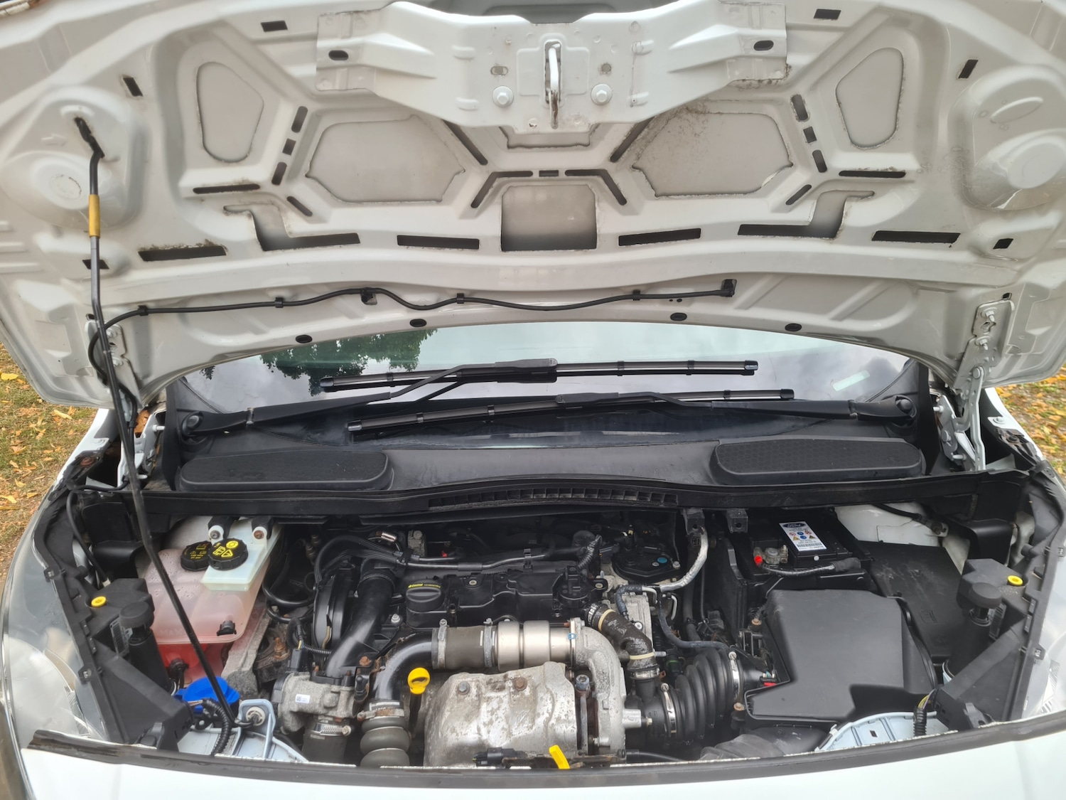 Vehicle 10