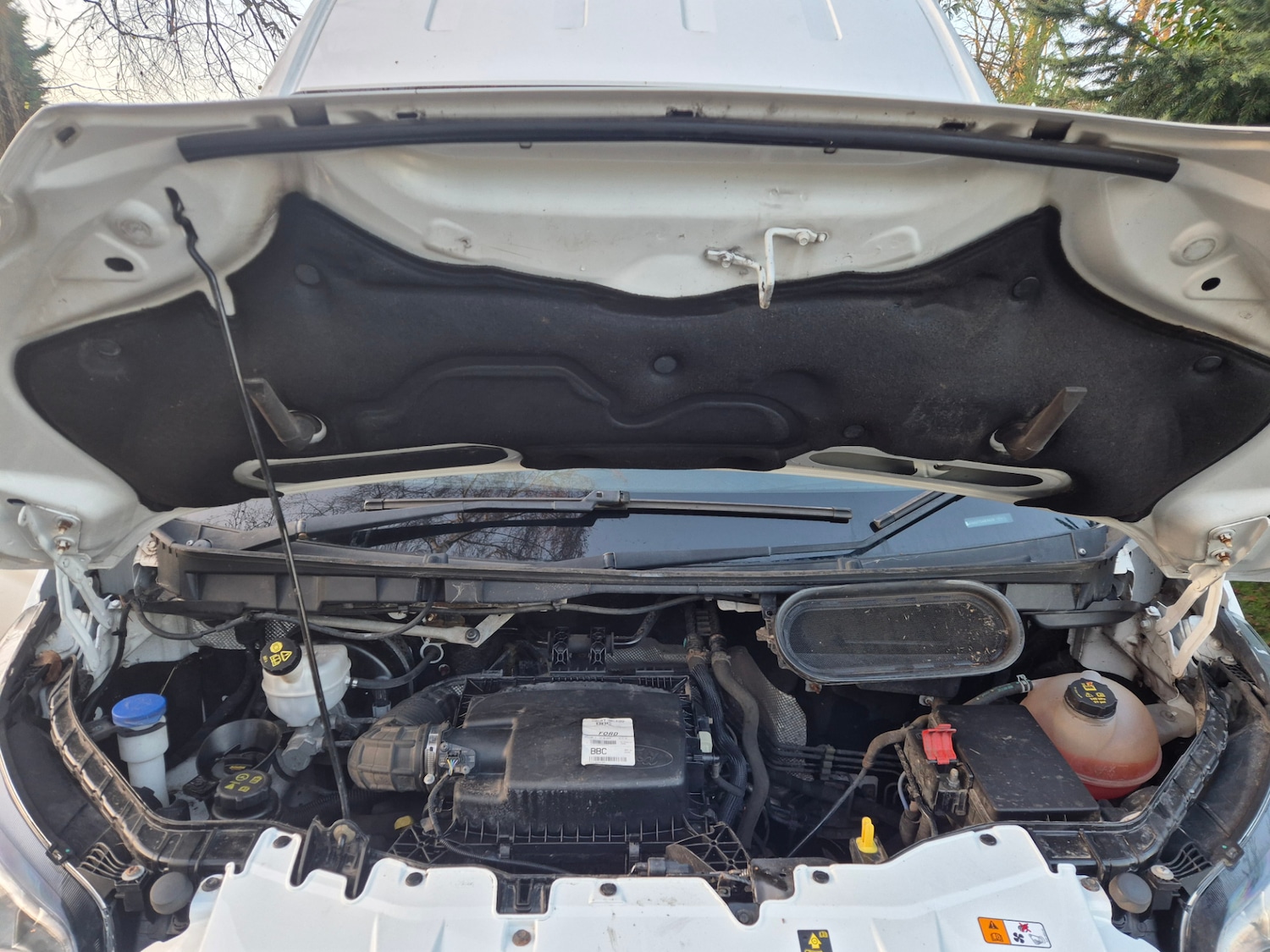 Used Ford Transit 2018 for sale - 76796606: Photo 17