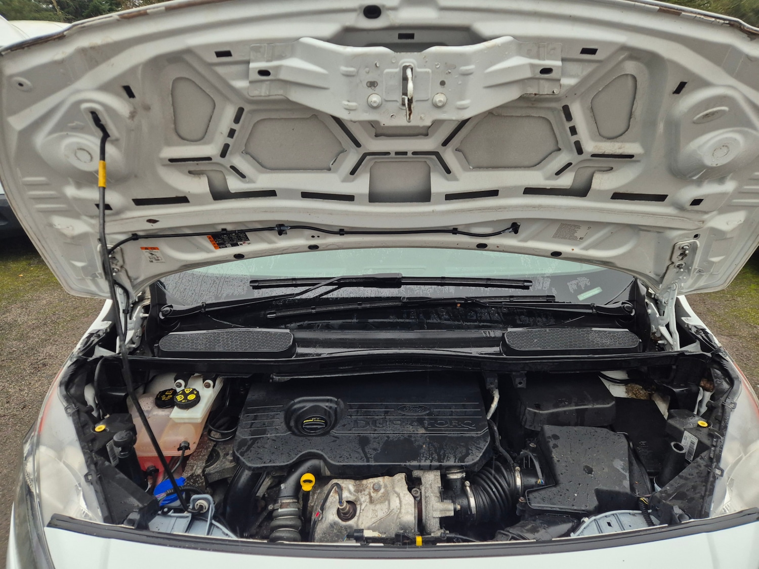 Used Ford Transit Connect 2018 for sale - 77179774: Photo 10