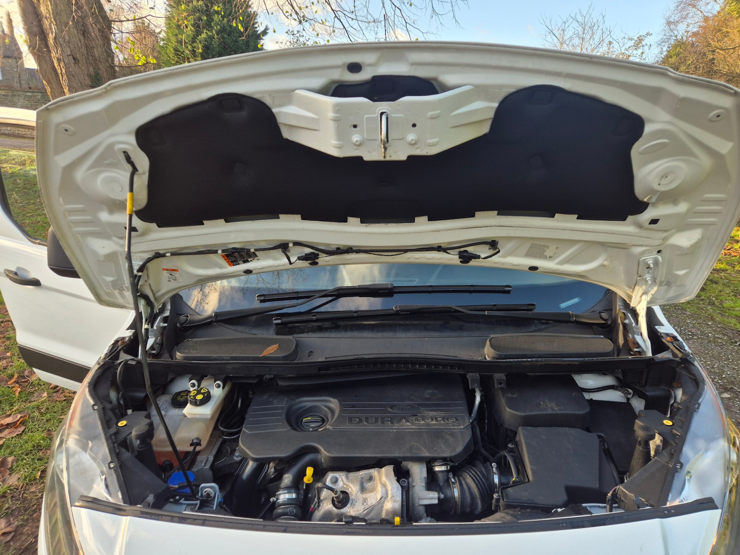 Used Ford Transit Connect 2018 for sale - 76696634: Photo 11