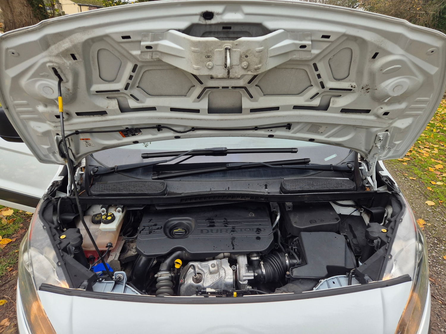 Used Ford Transit Connect 2017 for sale - 76505026: Photo 11