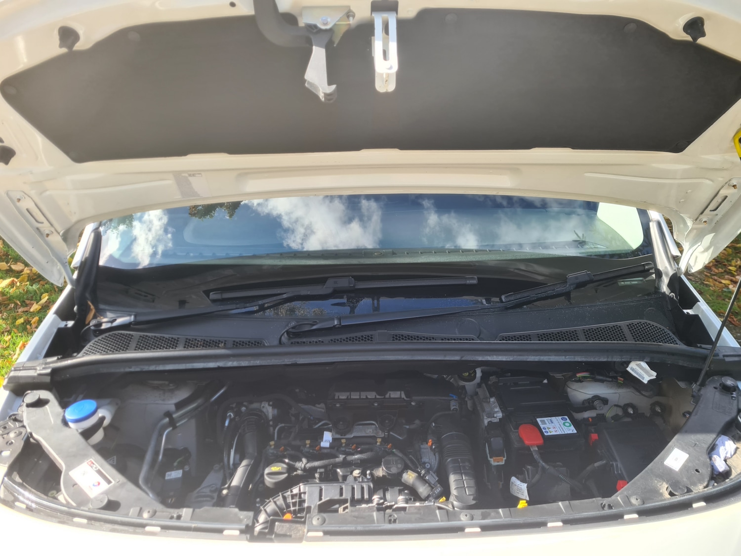 Vehicle 10