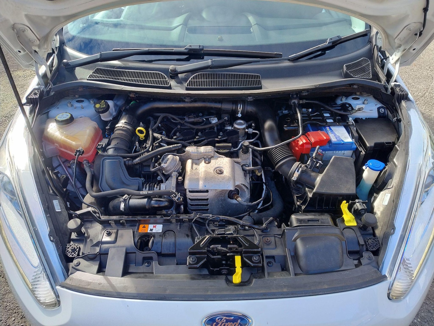 Used Ford Fiesta 2015 for sale - 76484745: Photo 82