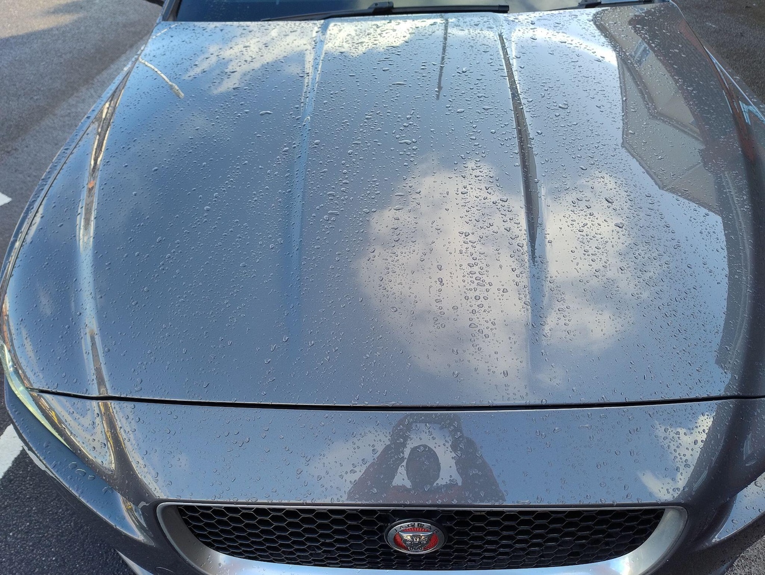 Used Jaguar XE 2016 for sale - 77230212: Photo 60