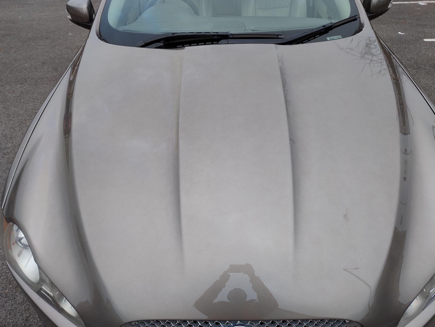 Used Jaguar XF 2008 for sale - 77156738: Photo 7