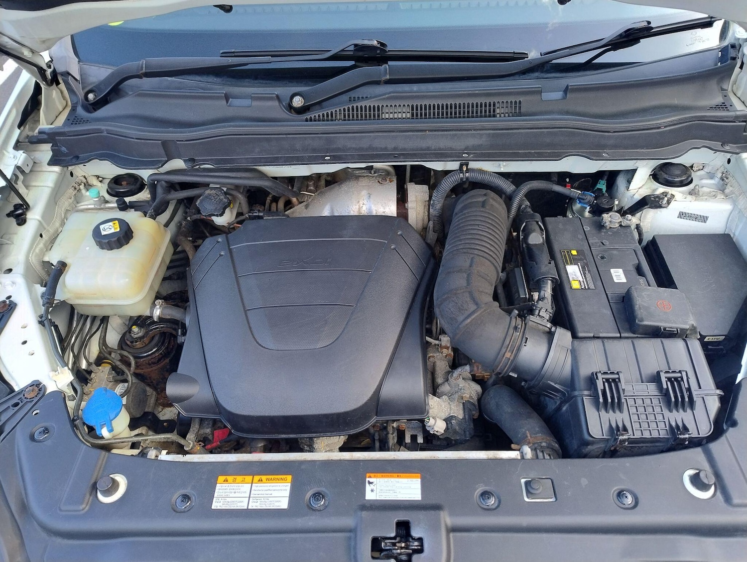 Used Ssangyong Korando 2016 for sale - 78058909: Photo 55