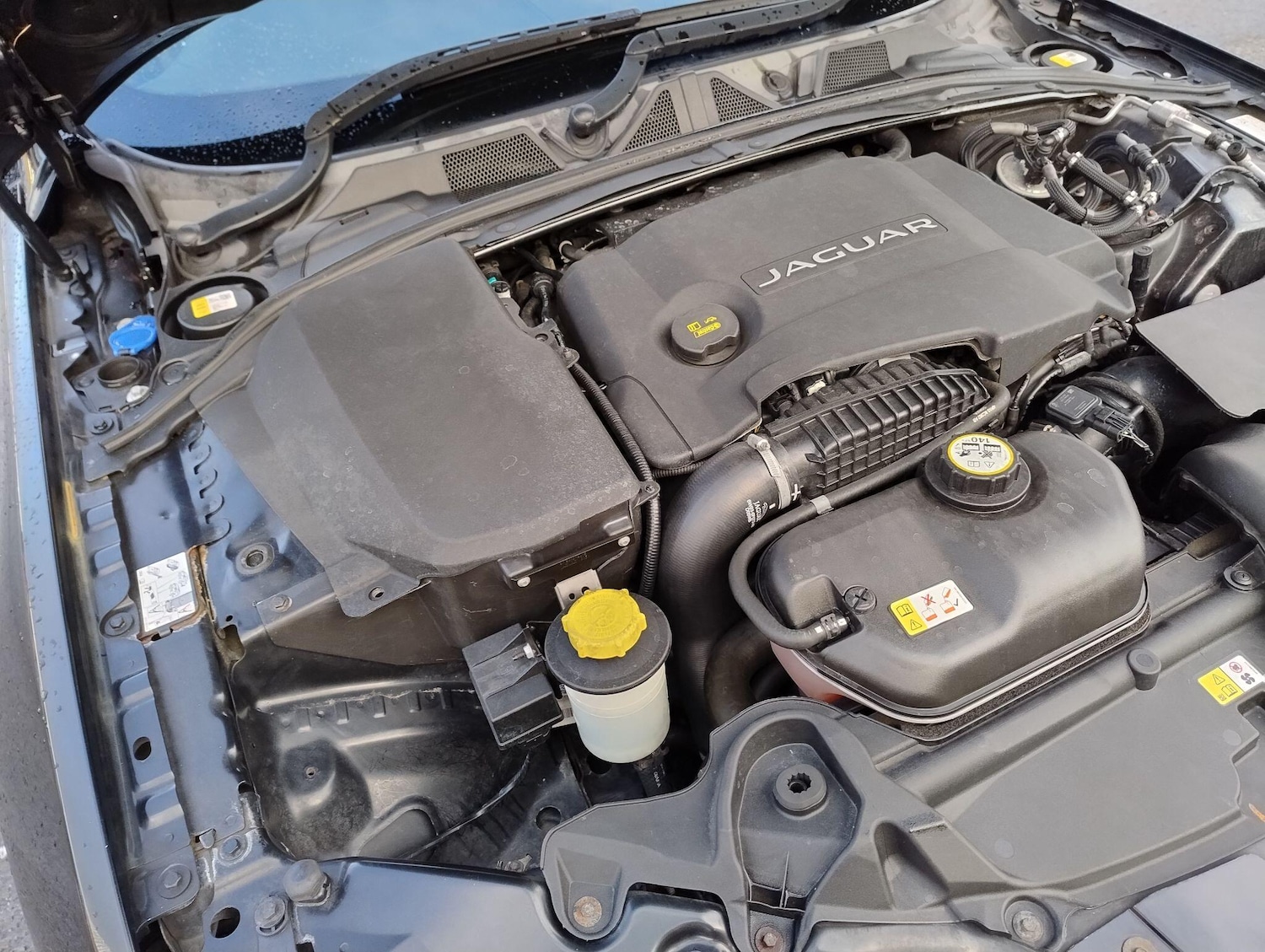 Used Jaguar XF 2014 for sale - 77479524: Photo 46