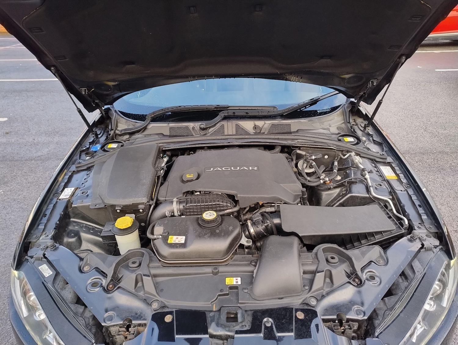 Used Jaguar XF 2014 for sale - 77479524: Photo 48