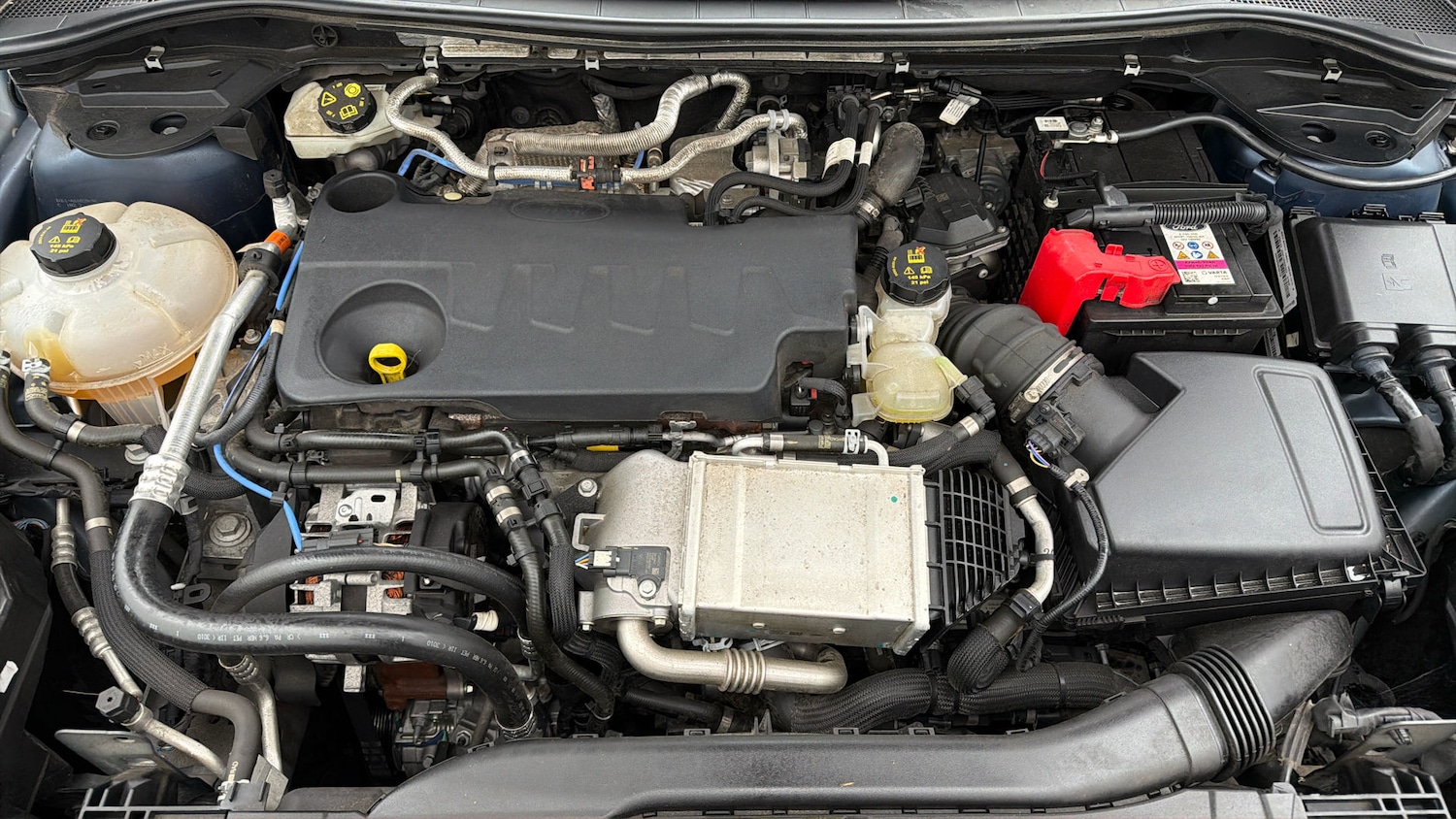 Used Ford Kuga 2022 for sale - 78094826: Photo 18