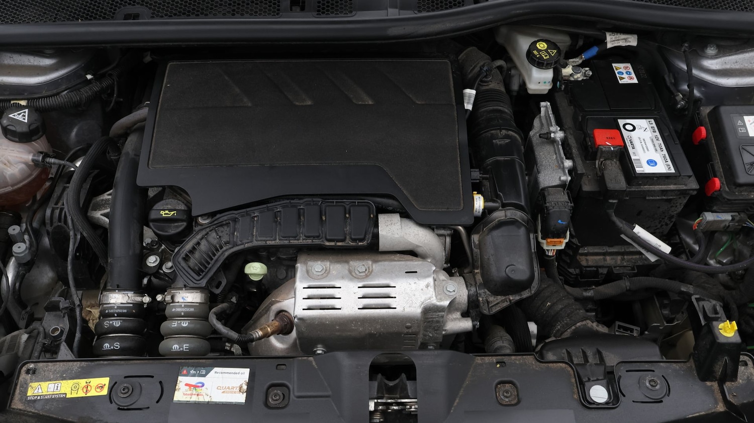 Used Peugeot 2008 2024 for sale - 77640297: Photo 19