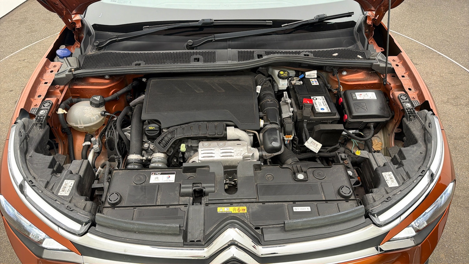 Used Citroen C4 2023 for sale - 77742538: Photo 18