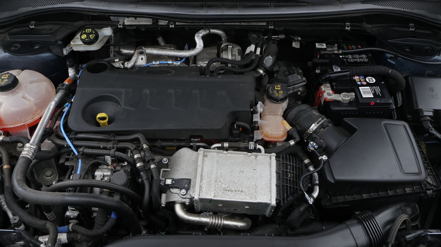 Used Ford Kuga 2020 for sale - 77580998: Photo 19