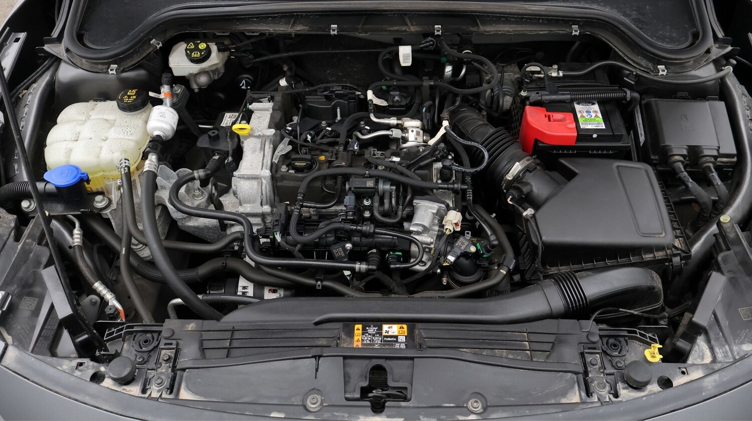 Used Ford Focus 2023 for sale - 77351075: Photo 19