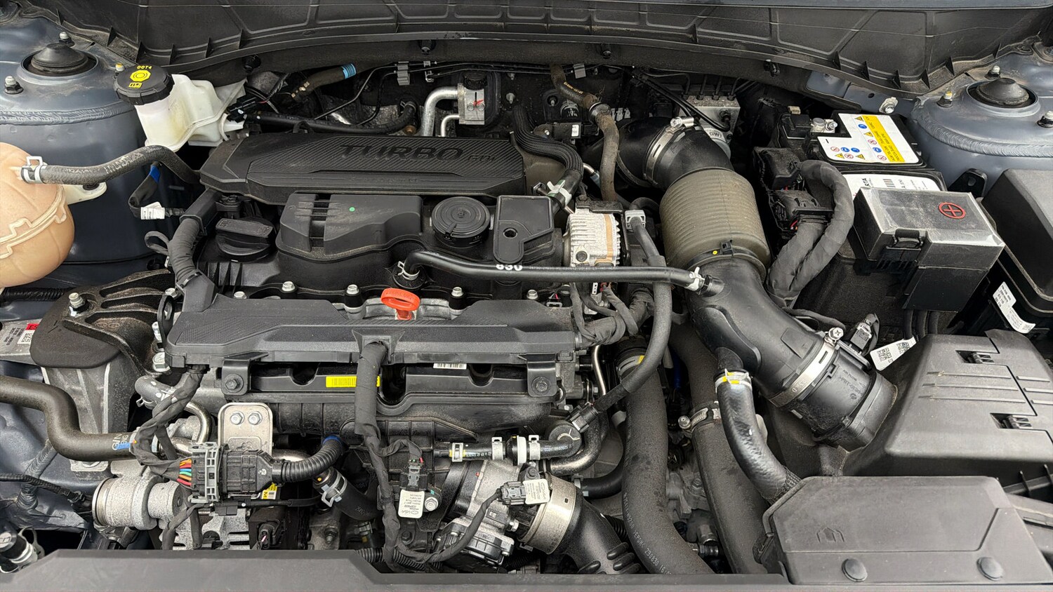 Used Hyundai TUCSON 2024 for sale - 77954198: Photo 18