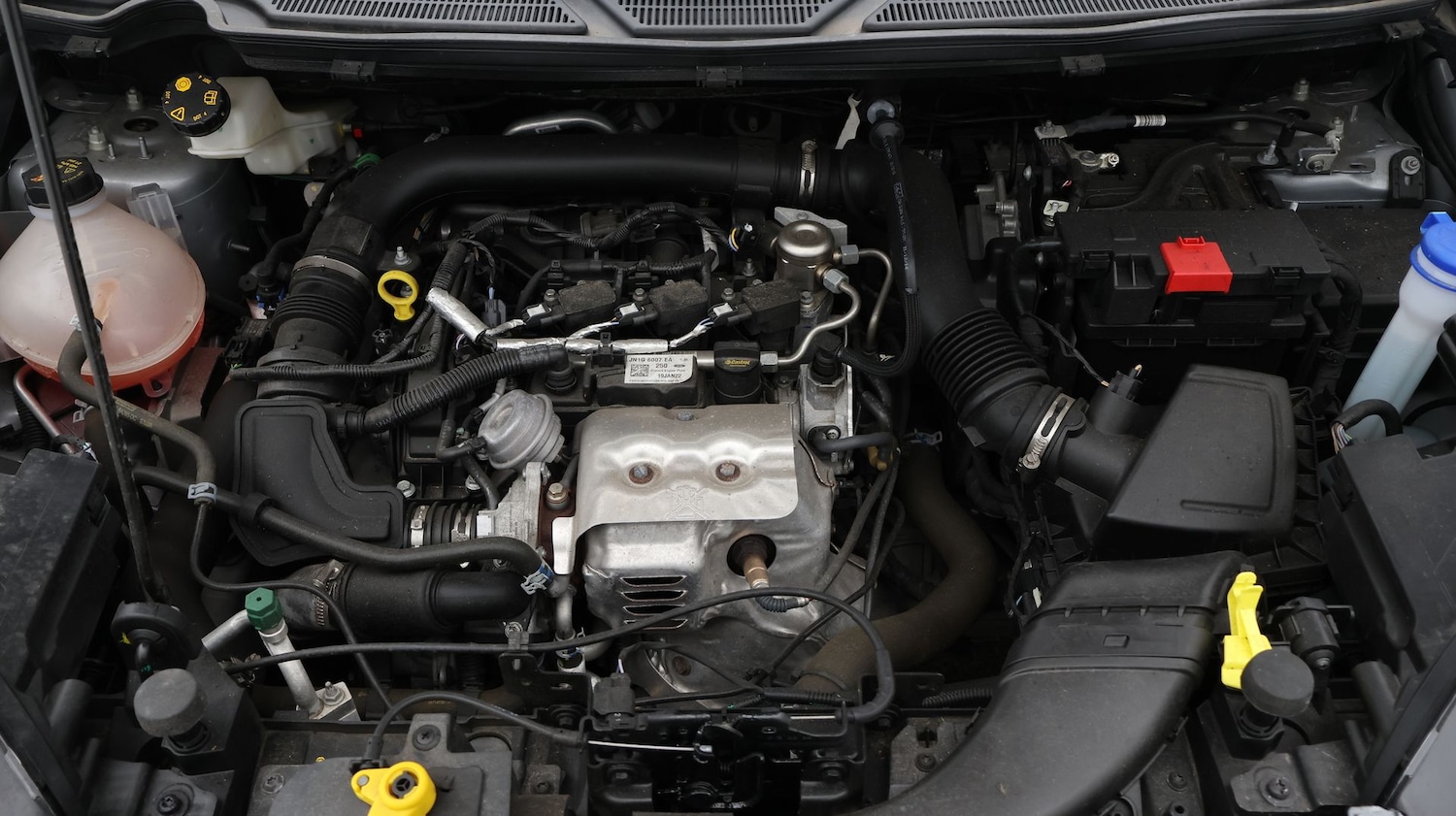 Used Ford Ecosport 2022 for sale - 77813515: Photo 19