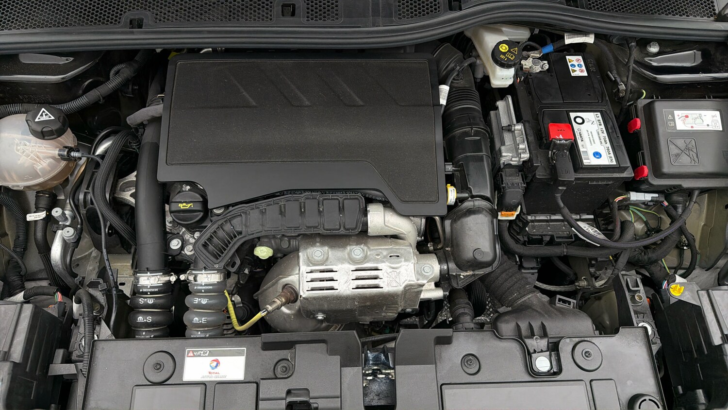 Used Citroen C4 2024 for sale - 77789444: Photo 18