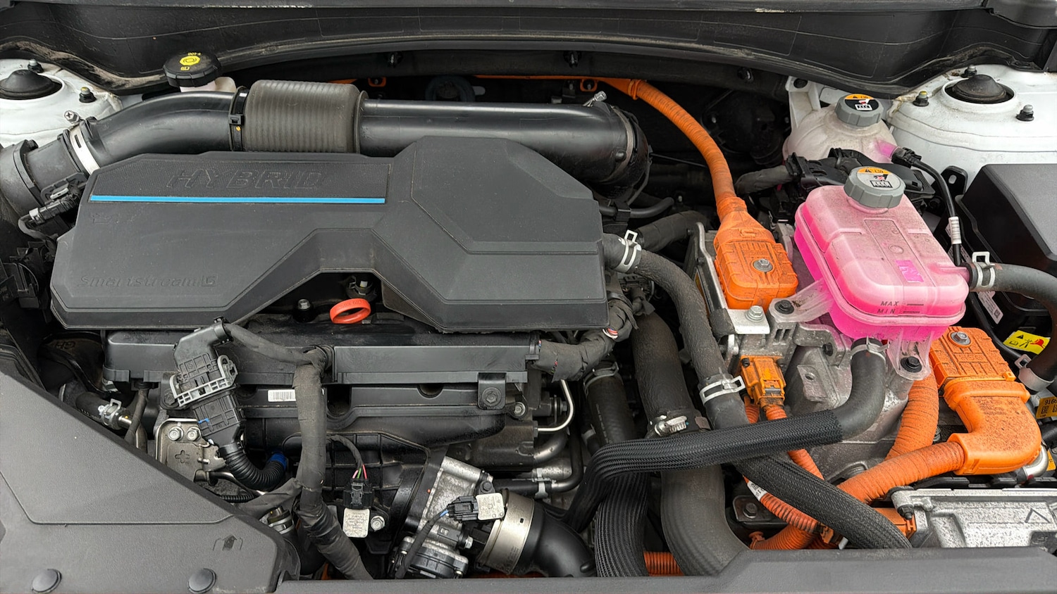 Used Kia Sportage 2022 for sale - 78077641: Photo 18