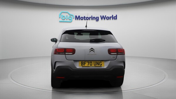 Used Citroen C4 Cactus 2020 for sale - 76337548: Photo 7