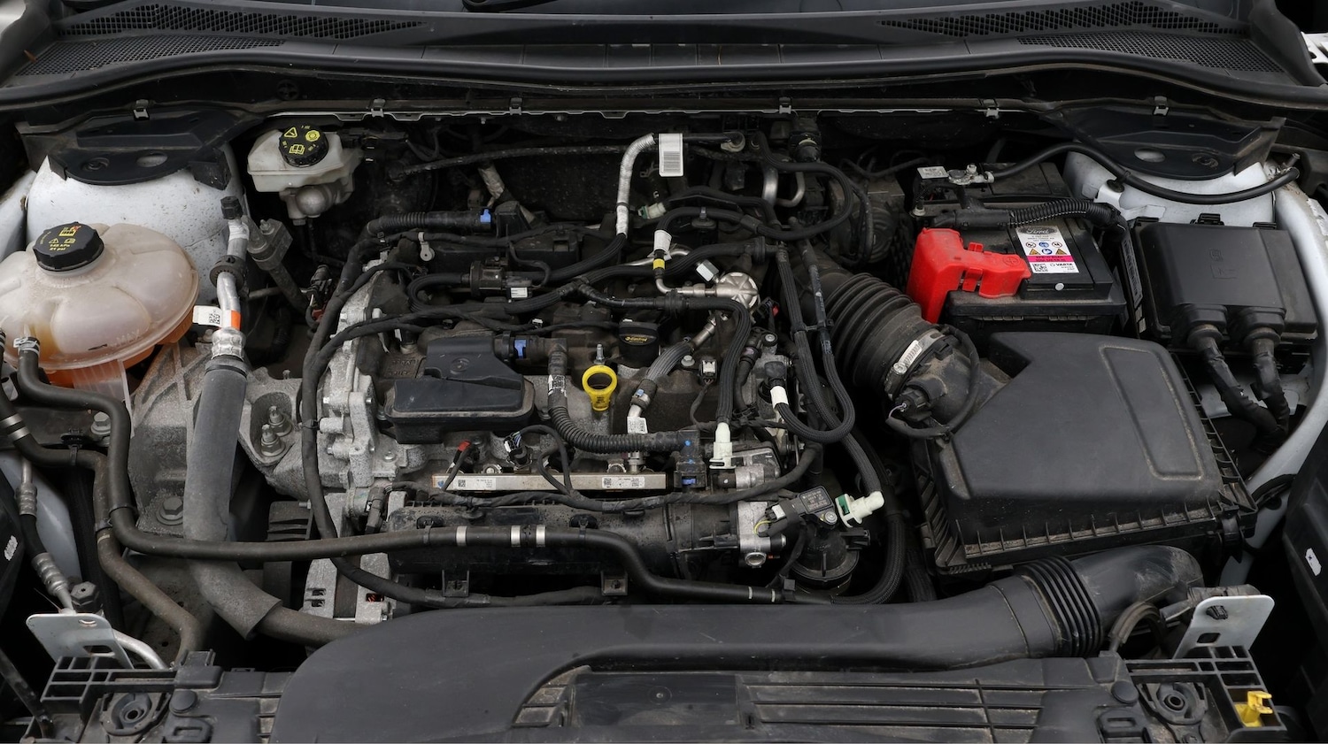 Used Ford Kuga 2022 for sale - 77776102: Photo 19