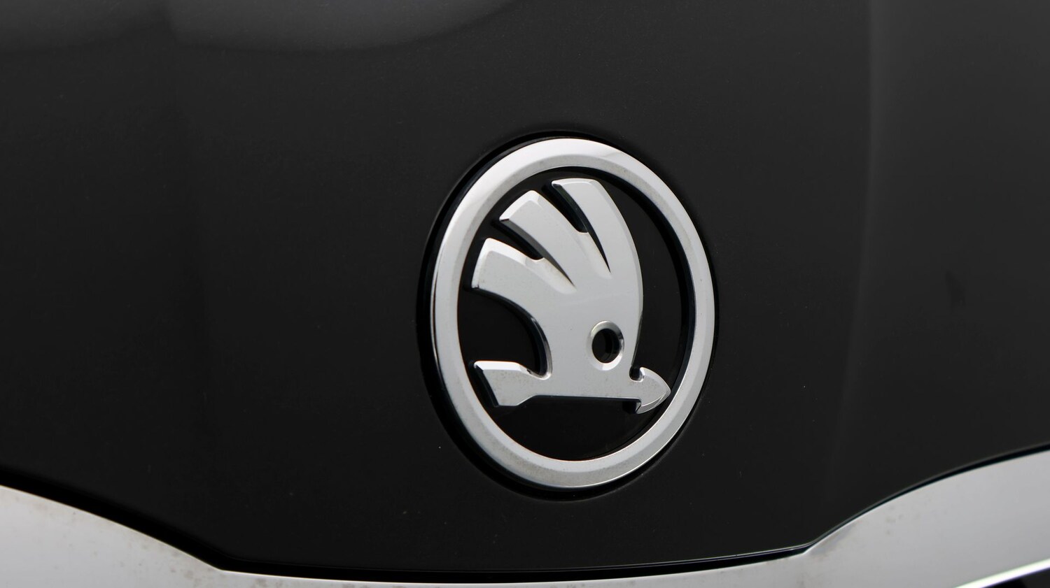 Used Skoda Octavia 2023 for sale - 77789434: Photo 23