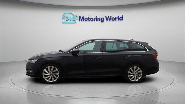 Used Skoda Octavia 2020 for sale - 76247907: Photo 5