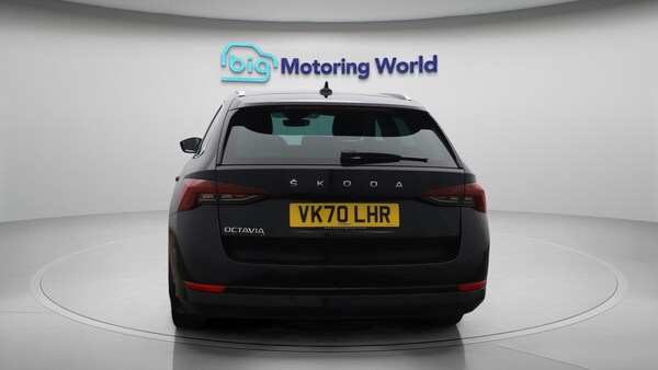Used Skoda Octavia 2020 for sale - 76247907: Photo 7