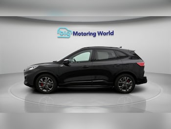 Used Ford Kuga 2023 for sale - 79372261: Photo