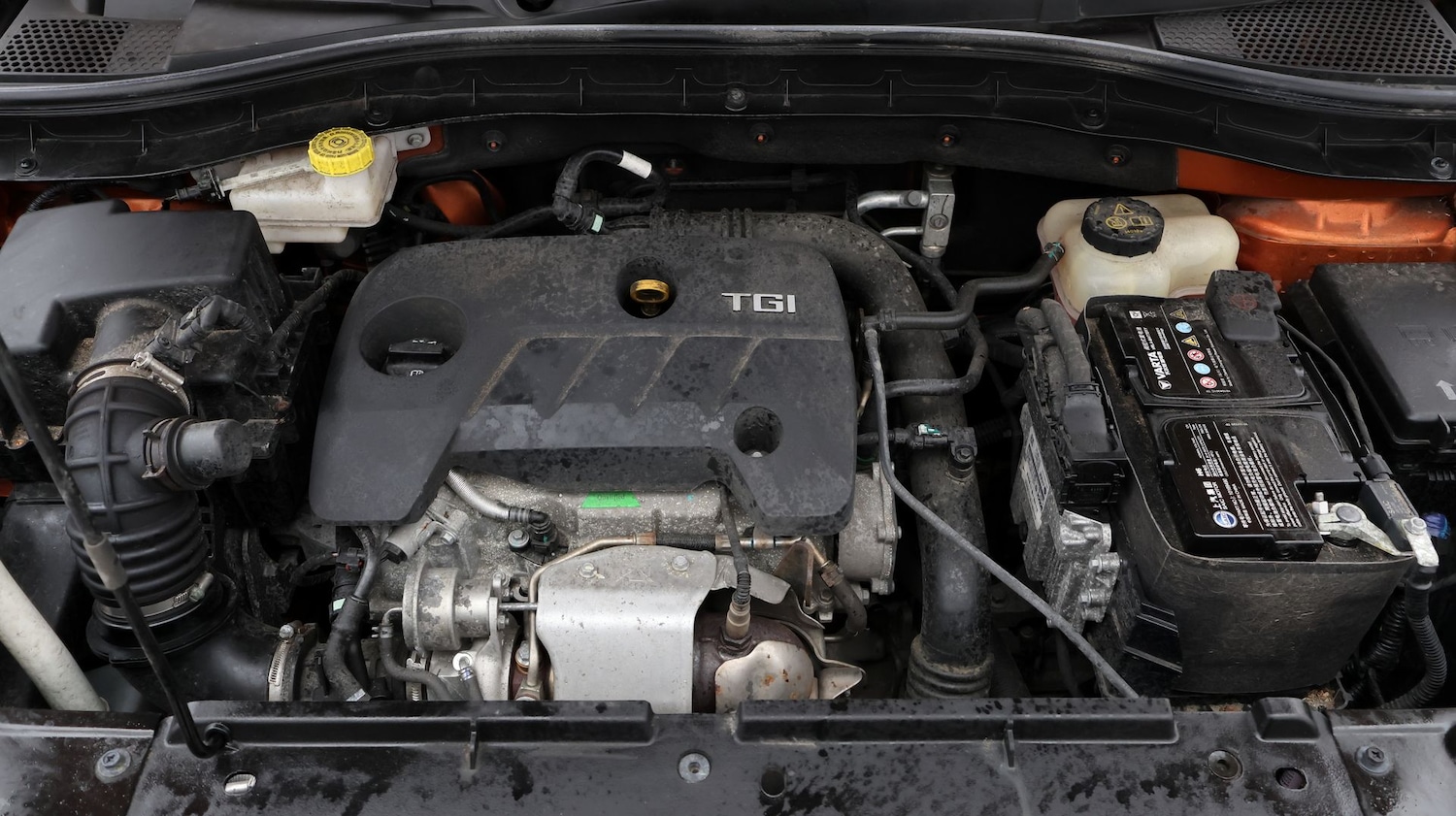 Used MG MG ZS for sale - 77518577: Photo 19