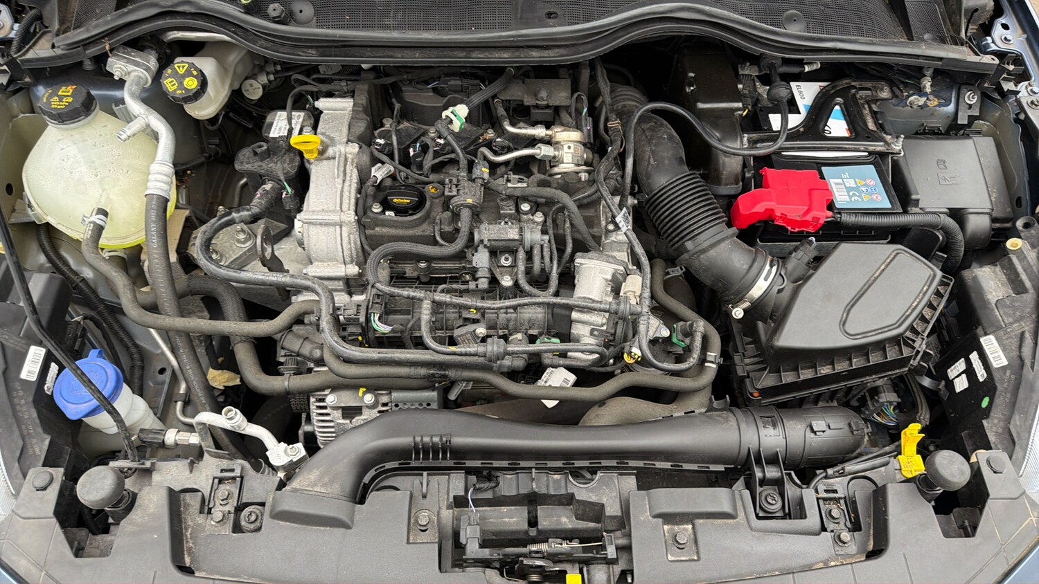 Used Ford Fiesta 2023 for sale - 77916298: Photo 18