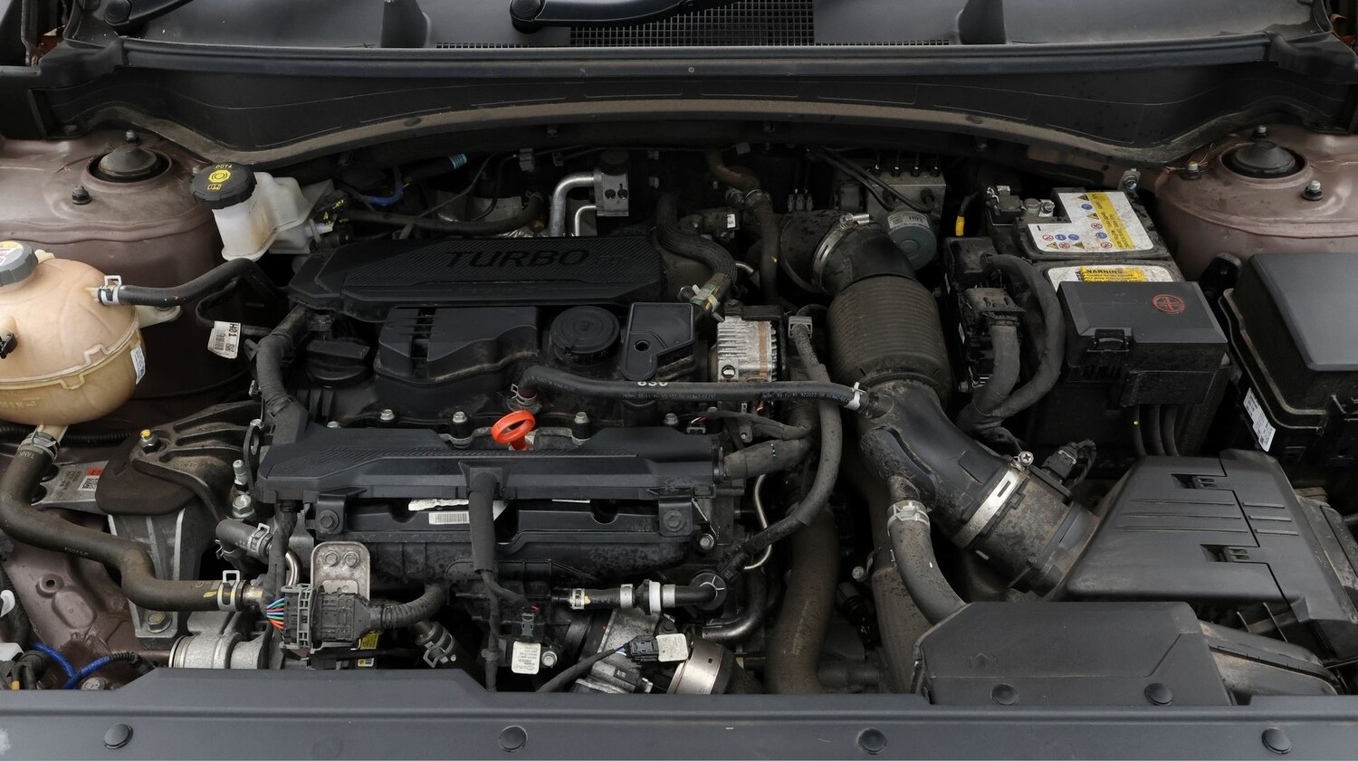 Used Kia Sportage for sale - 77182201: Photo 19