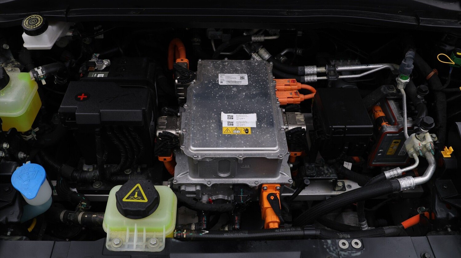 Used GWM Funky Cat for sale - 77602098: Photo 19