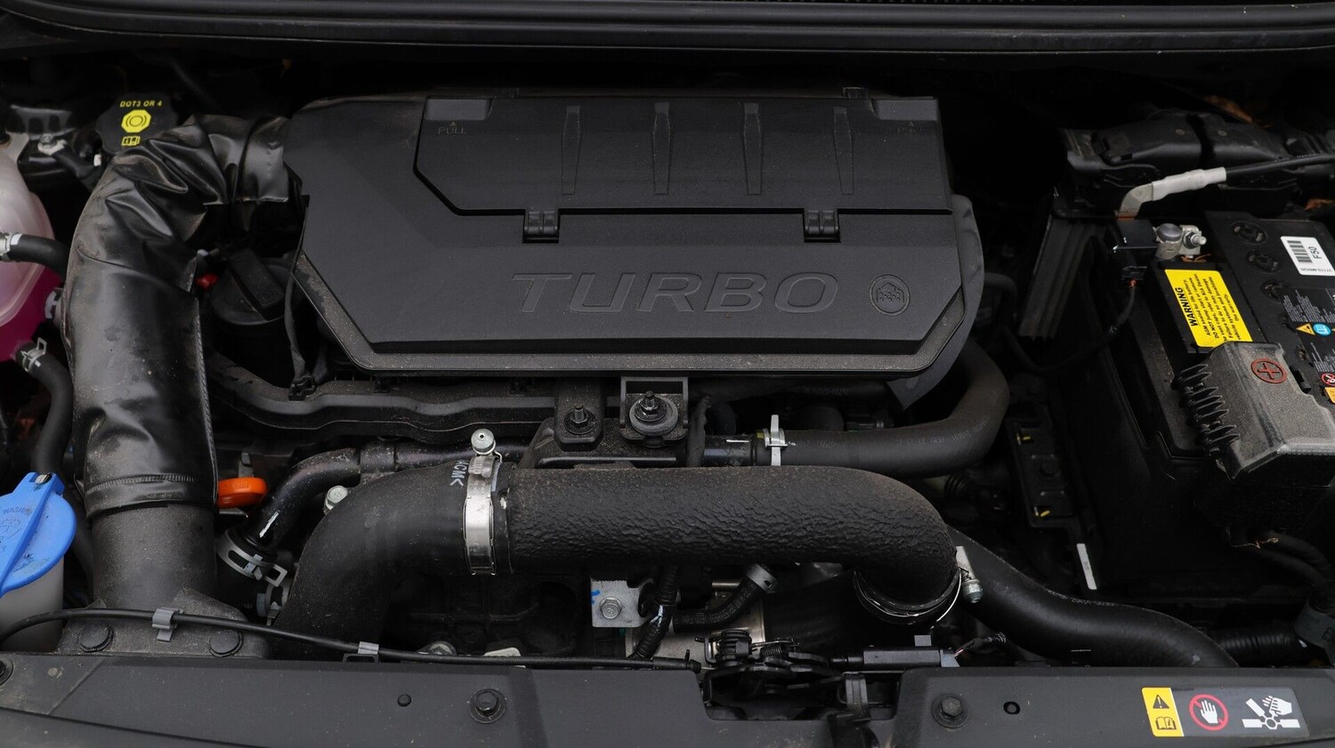 Used Kia Picanto 2023 for sale - 77431233: Photo 19