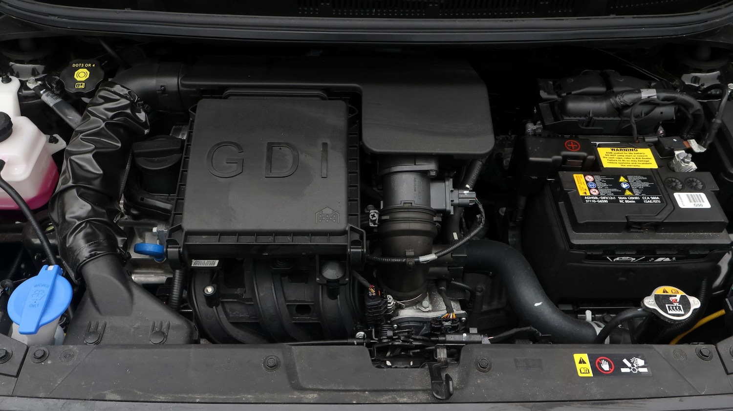 Used Kia Picanto 2025 for sale - 77640280: Photo 19