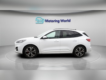 Used Ford Kuga 2023 for sale - 77300900: Photo