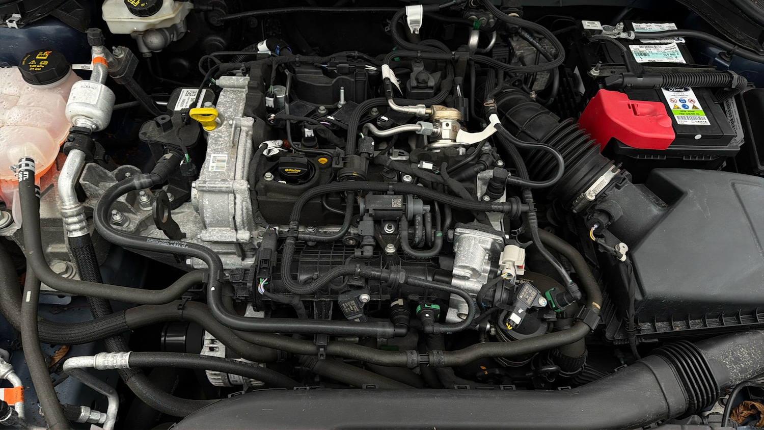 Used Ford Focus 2021 for sale - 78064556: Photo 18