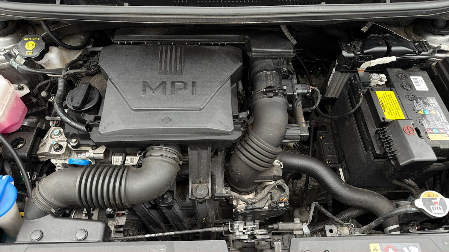 Used Kia Picanto 2023 for sale - 78201646: Photo 18