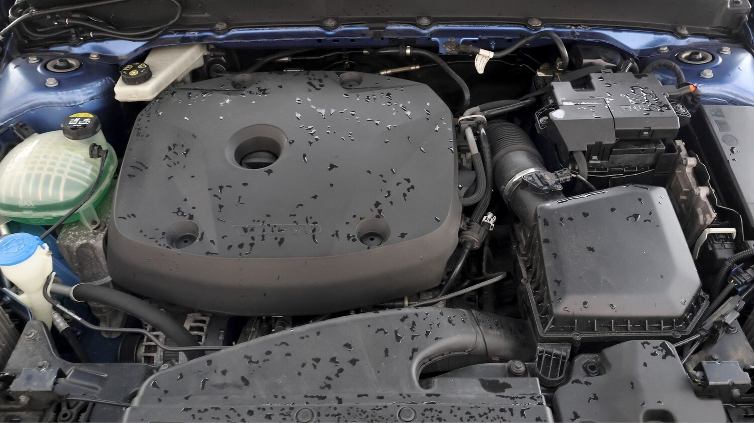 Used Volvo XC40 for sale - 77789043: Photo 18