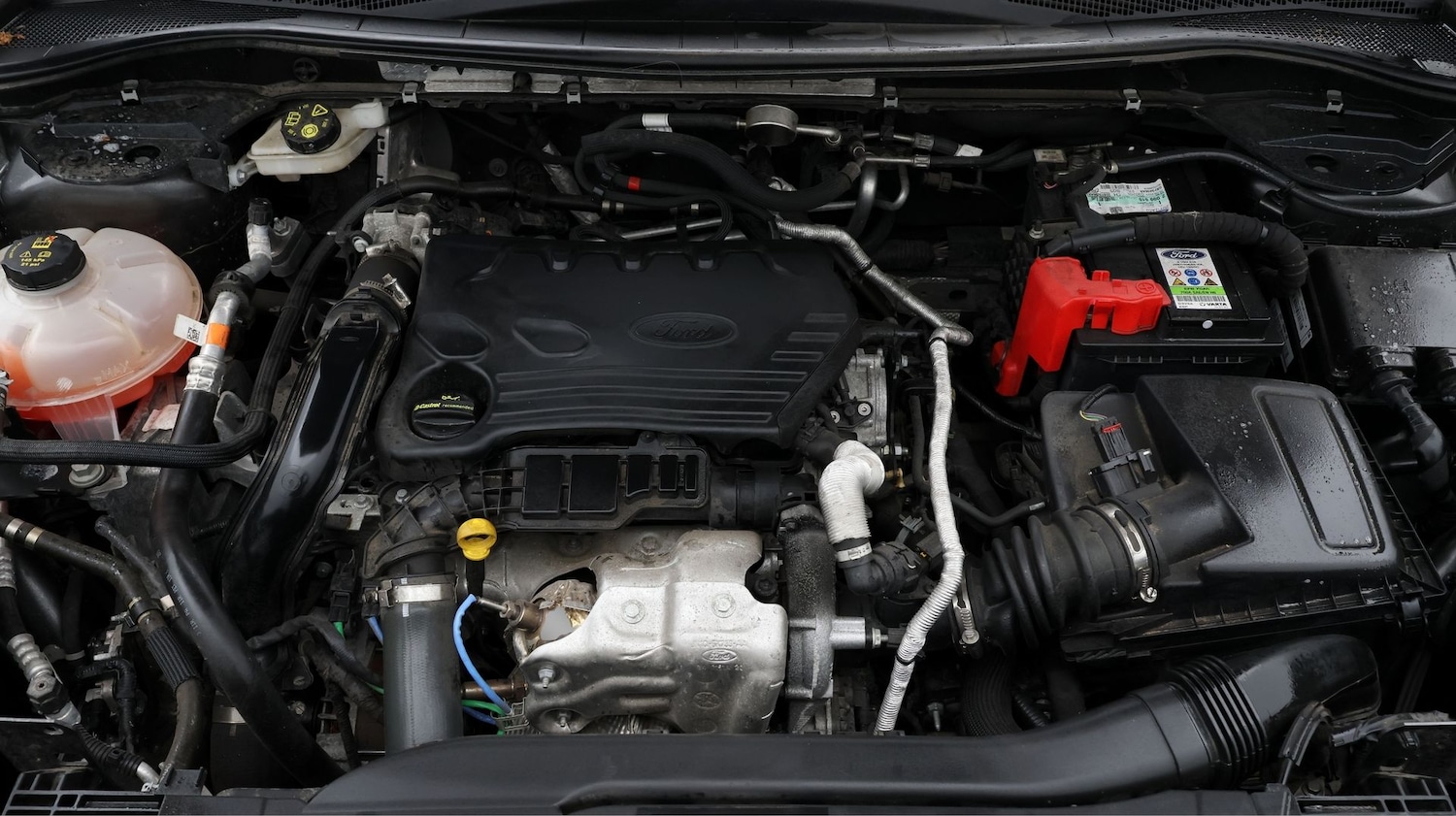 Used Ford Kuga for sale - 77201618: Photo 19