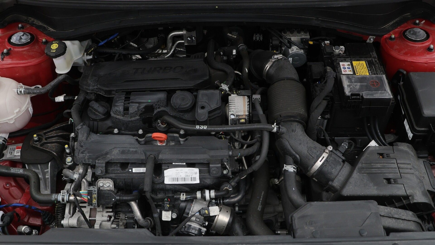 Used Kia Sportage 2024 for sale - 77375749: Photo 19