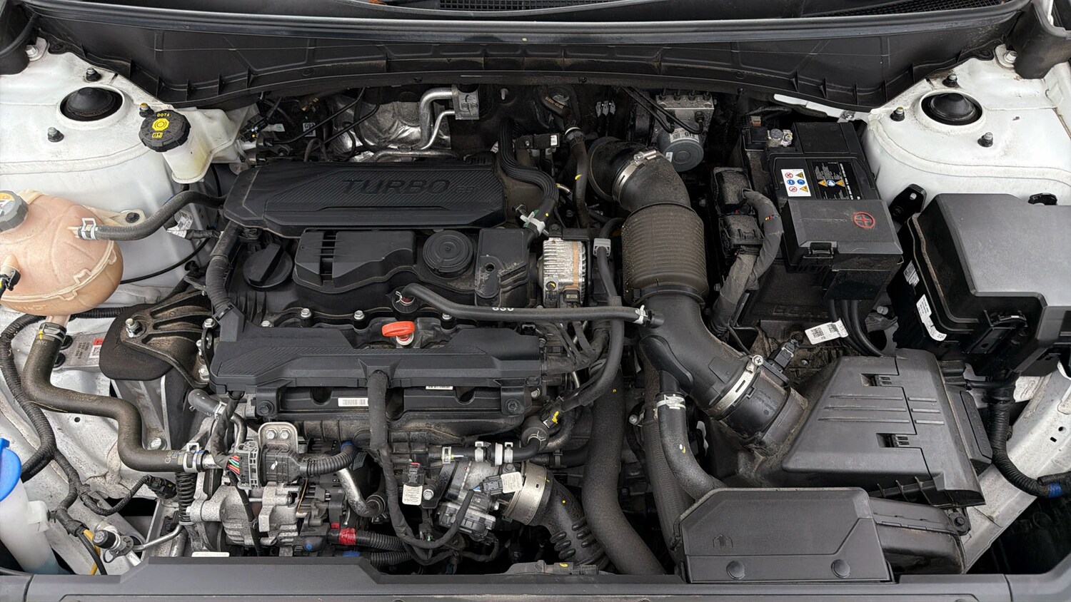 Used Hyundai TUCSON 2023 for sale - 77954205: Photo 18