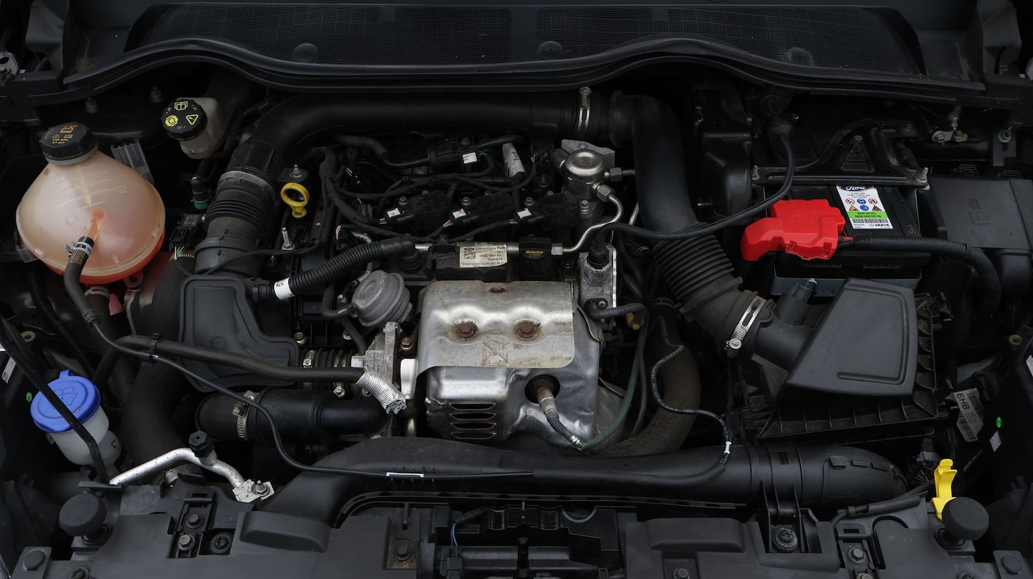 Used Ford Fiesta 2019 for sale - 77729201: Photo 19