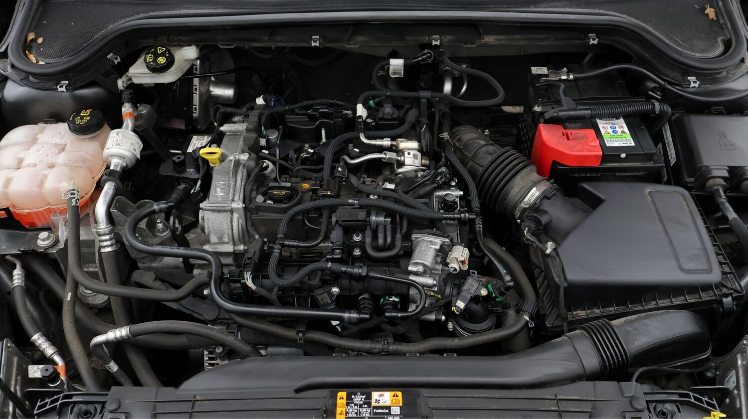 Used Ford Focus 2021 for sale - 77803100: Photo 19