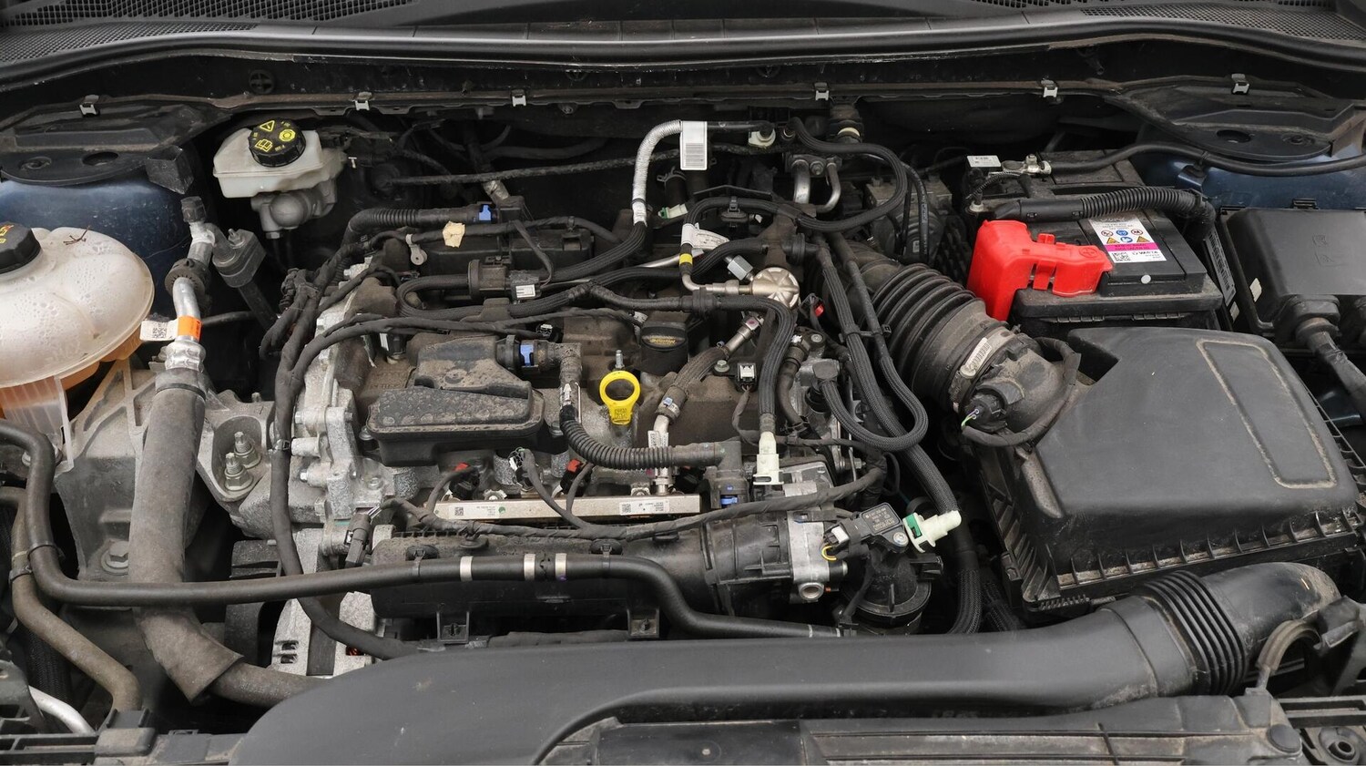 Used Ford Kuga 2022 for sale - 76013704: Photo 20